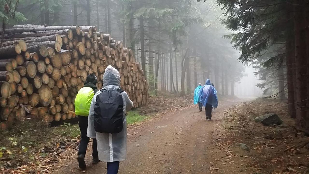 Urlaubsdomizil Am Toepfer - Ferienwohnungen In Olbersdorf מראה חיצוני תמונה