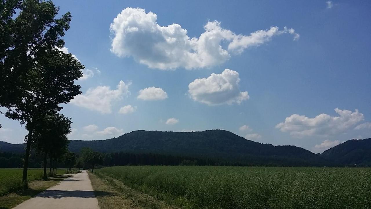 Urlaubsdomizil Am Toepfer - Ferienwohnungen In Olbersdorf מראה חיצוני תמונה