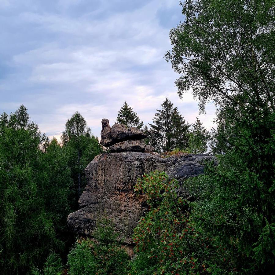 Urlaubsdomizil Am Toepfer - Ferienwohnungen In Olbersdorf מראה חיצוני תמונה