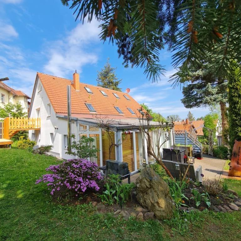 Urlaubsdomizil Am Toepfer - Ferienwohnungen In Olbersdorf מראה חיצוני תמונה